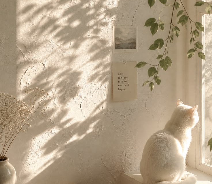 A white cat on a windowsill beside a note reading take the time to make your soul happy